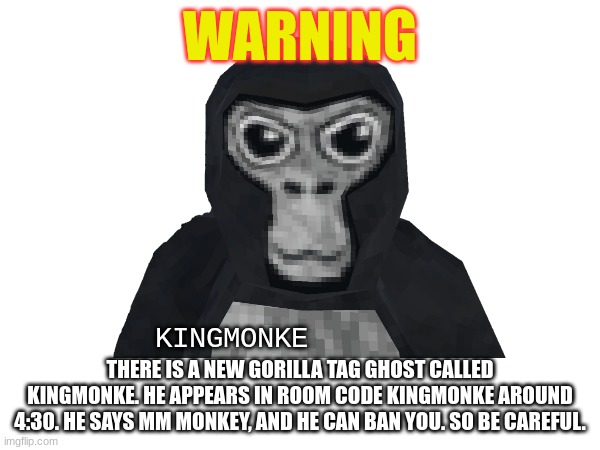 WARNING | WARNING; KINGMONKE; THERE IS A NEW GORILLA TAG GHOST CALLED KINGMONKE. HE APPEARS IN ROOM CODE KINGMONKE AROUND 4:30. HE SAYS MM MONKEY, AND HE CAN BAN YOU. SO BE CAREFUL. | image tagged in gorilla,tag,oh wow are you actually reading these tags,stop reading the tags | made w/ Imgflip meme maker