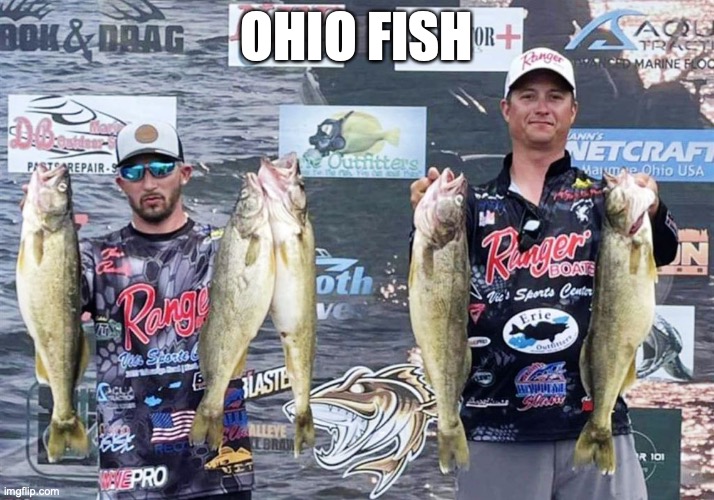 Ohio fish | OHIO FISH | image tagged in we got weights in fish | made w/ Imgflip meme maker