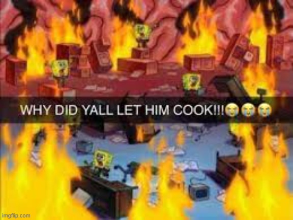 Why did y’all let him cook | image tagged in why did y all let him cook | made w/ Imgflip meme maker