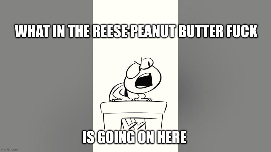 new temp ( nutshell animations) | WHAT IN THE REESE PEANUT BUTTER FUCK; IS GOING ON HERE | image tagged in nutshell animations | made w/ Imgflip meme maker