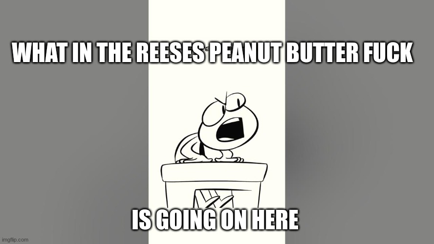 nutshell animations | WHAT IN THE REESES PEANUT BUTTER FUCK IS GOING ON HERE | image tagged in nutshell animations | made w/ Imgflip meme maker