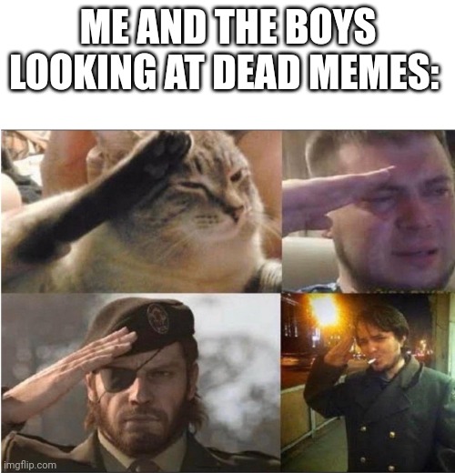 *sob* you will be missed | ME AND THE BOYS LOOKING AT DEAD MEMES: | image tagged in the group salute | made w/ Imgflip meme maker