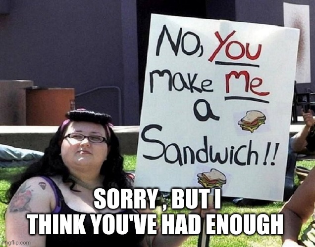 Feminists | SORRY , BUT I THINK YOU'VE HAD ENOUGH | image tagged in feminist | made w/ Imgflip meme maker