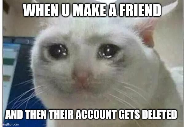 Noooooo | WHEN U MAKE A FRIEND; AND THEN THEIR ACCOUNT GETS DELETED | image tagged in crying cat,friends,imgflip users | made w/ Imgflip meme maker