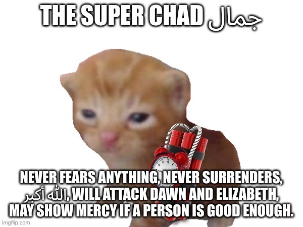 You got caught | THE SUPER CHAD جمال NEVER FEARS ANYTHING, NEVER SURRENDERS, الله أكبر, WILL ATTACK DAWN AND ELIZABETH, MAY SHOW MERCY IF A PERSON IS GOOD EN | image tagged in you got caught | made w/ Imgflip meme maker