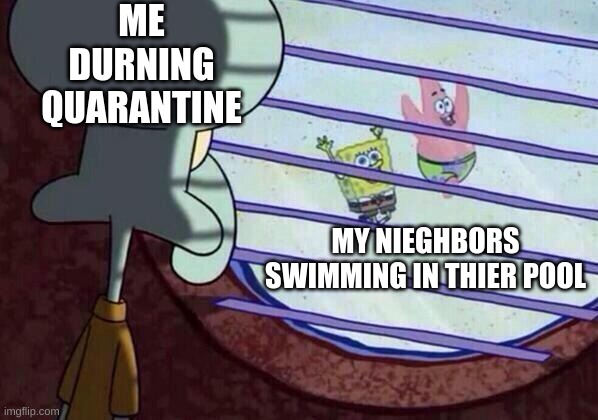 Squidward window | ME DURNING QUARANTINE; MY NIEGHBORS SWIMMING IN THIER POOL | image tagged in squidward window | made w/ Imgflip meme maker