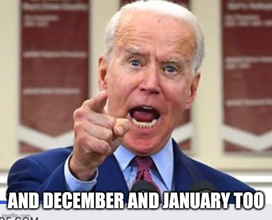 Joe Biden no malarkey | AND DECEMBER AND JANUARY TOO | image tagged in joe biden no malarkey | made w/ Imgflip meme maker