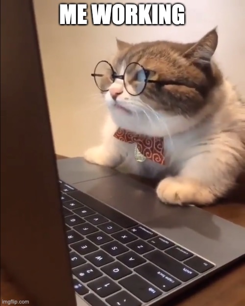 research cat | ME WORKING | image tagged in research cat | made w/ Imgflip meme maker
