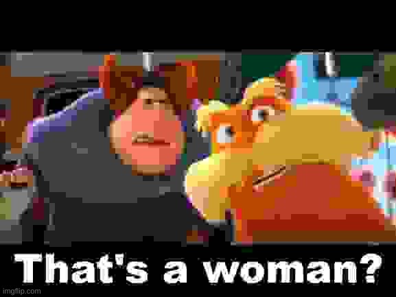 That's a Woman | image tagged in that's a woman | made w/ Imgflip meme maker