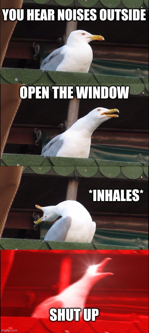 it do be like that tho | YOU HEAR NOISES OUTSIDE; OPEN THE WINDOW; *INHALES*; SHUT UP | image tagged in memes,inhaling seagull | made w/ Imgflip meme maker