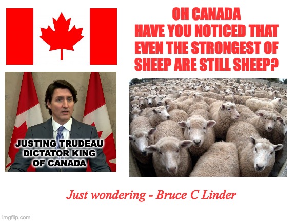 Fight Like It's a Hockey Game | OH CANADA
HAVE YOU NOTICED THAT
EVEN THE STRONGEST OF
SHEEP ARE STILL SHEEP? JUSTING TRUDEAU
DICTATOR KING
OF CANADA; Just wondering - Bruce C Linder | image tagged in justin trudeau,fight back,keep fighting,castro jr,castro lite | made w/ Imgflip meme maker