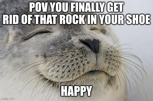Satisfied Seal | POV YOU FINALLY GET RID OF THAT ROCK IN YOUR SHOE; HAPPY | image tagged in memes,satisfied seal | made w/ Imgflip meme maker