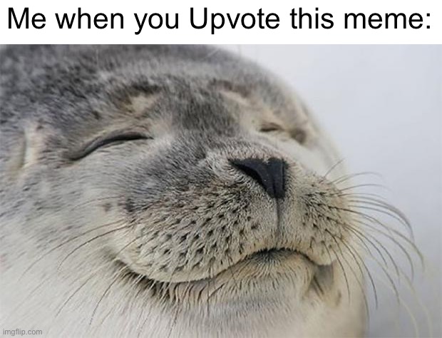 Satisfied Seal Meme | Me when you Upvote this meme: | image tagged in memes,satisfied seal,begging for upvotes | made w/ Imgflip meme maker