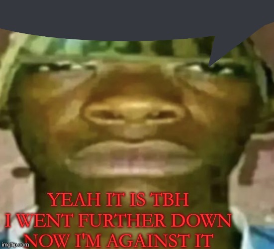 Watermelon Hat | YEAH IT IS TBH I WENT FURTHER DOWN NOW I'M AGAINST IT | image tagged in watermelon hat | made w/ Imgflip meme maker