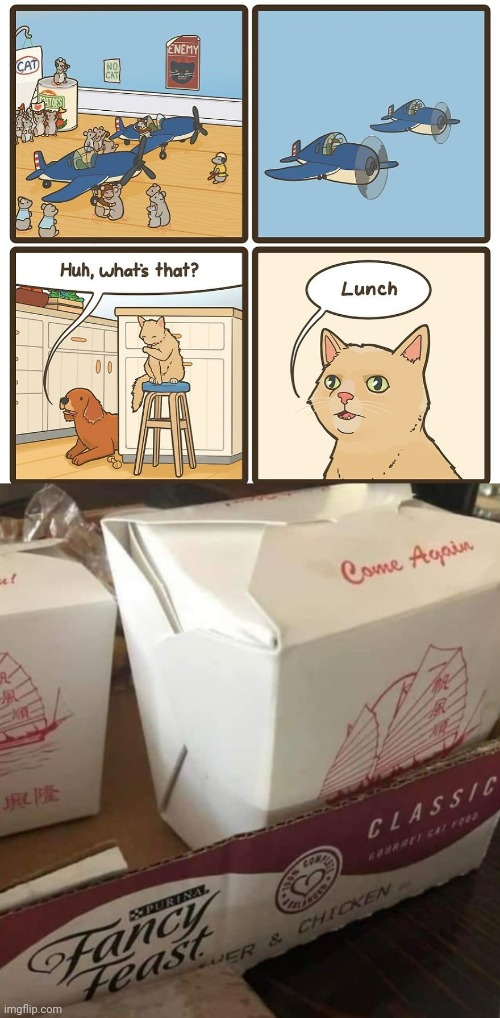 Fancy feast cat food for lunch | image tagged in chinese cat food,lunch,comic,dark humor,memes,cat | made w/ Imgflip meme maker