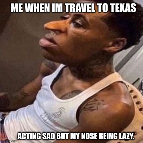 Quandale Dingle visits Texas | ME WHEN IM TRAVEL TO TEXAS; ACTING SAD BUT MY NOSE BEING LAZY. | image tagged in quandale dingle | made w/ Imgflip meme maker