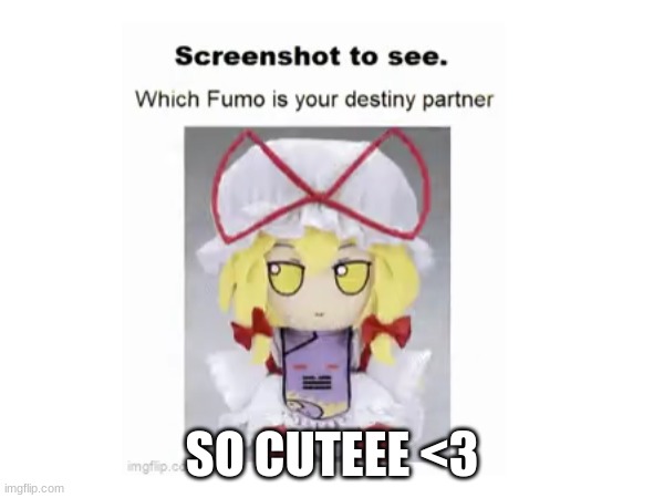 awwww | SO CUTEEE <3 | image tagged in destiny | made w/ Imgflip meme maker