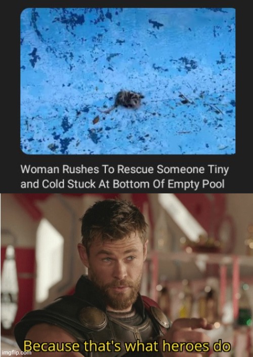 Good ol woman | image tagged in that s what heroes do,woman,wholesome,wholesome 100,memes,pool | made w/ Imgflip meme maker
