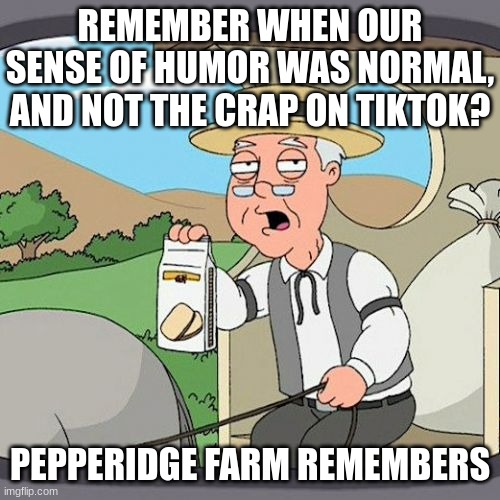 Pepperidge Farm Remembers Meme | REMEMBER WHEN OUR SENSE OF HUMOR WAS NORMAL, AND NOT THE CRAP ON TIKTOK? PEPPERIDGE FARM REMEMBERS | image tagged in memes,pepperidge farm remembers,funny,relatable,tiktok,pepperidge farms remembers | made w/ Imgflip meme maker