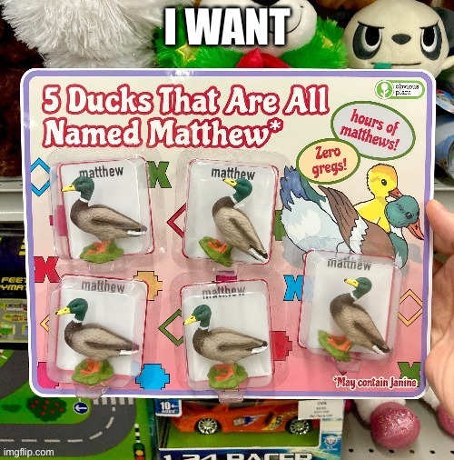 Duck | I WANT | image tagged in duck | made w/ Imgflip meme maker