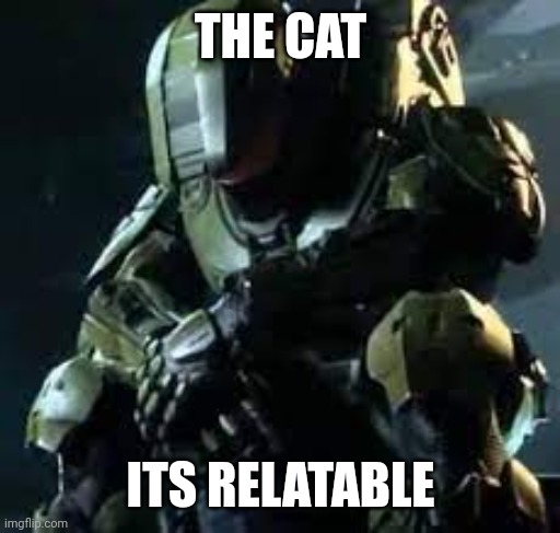 Master Chief sad | THE CAT ITS RELATABLE | image tagged in master chief sad | made w/ Imgflip meme maker