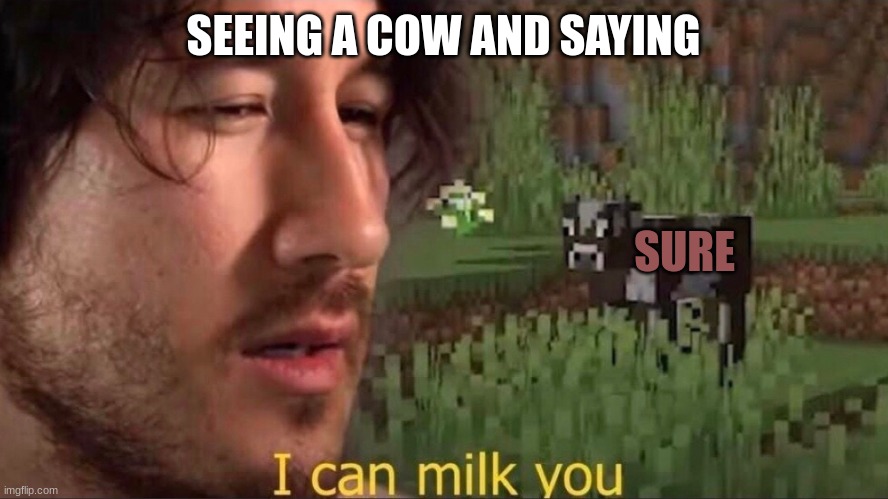 I can milk you (template) | SEEING A COW AND SAYING; SURE | image tagged in i can milk you template | made w/ Imgflip meme maker