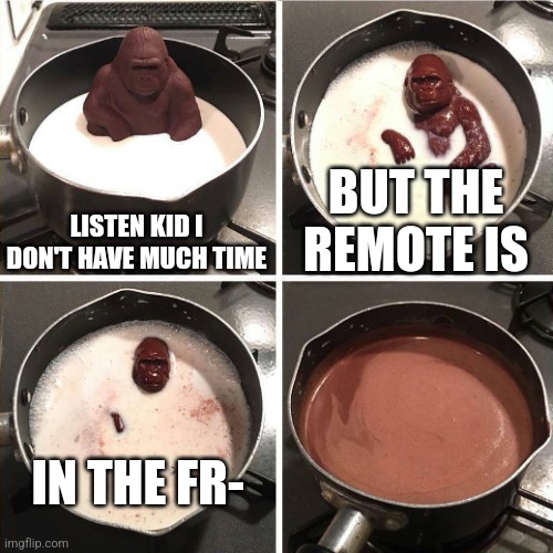chocolate gorilla | LISTEN KID I DON'T HAVE MUCH TIME; BUT THE REMOTE IS; IN THE FR- | image tagged in chocolate gorilla | made w/ Imgflip meme maker
