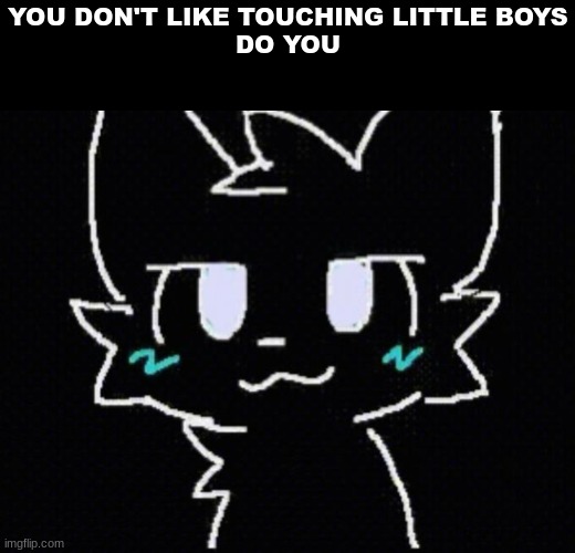 YOU DON'T LIKE TOUCHING LITTLE BOYS
DO YOU | made w/ Imgflip meme maker