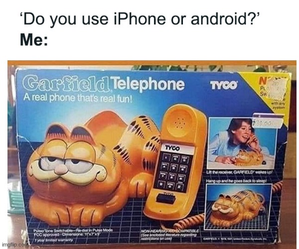 image tagged in funny,cat,phone,meme,why are you reading the tags,you have been eternally cursed for reading the tags | made w/ Imgflip meme maker