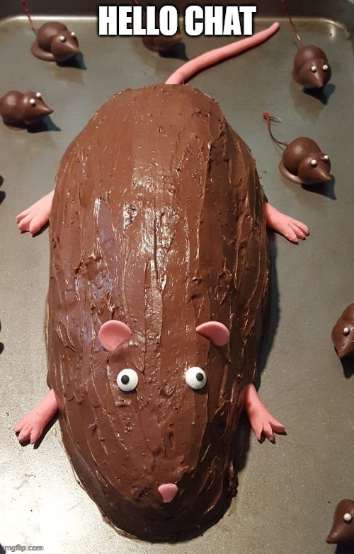 chocolate rat | HELLO CHAT | image tagged in chocolate rat | made w/ Imgflip meme maker