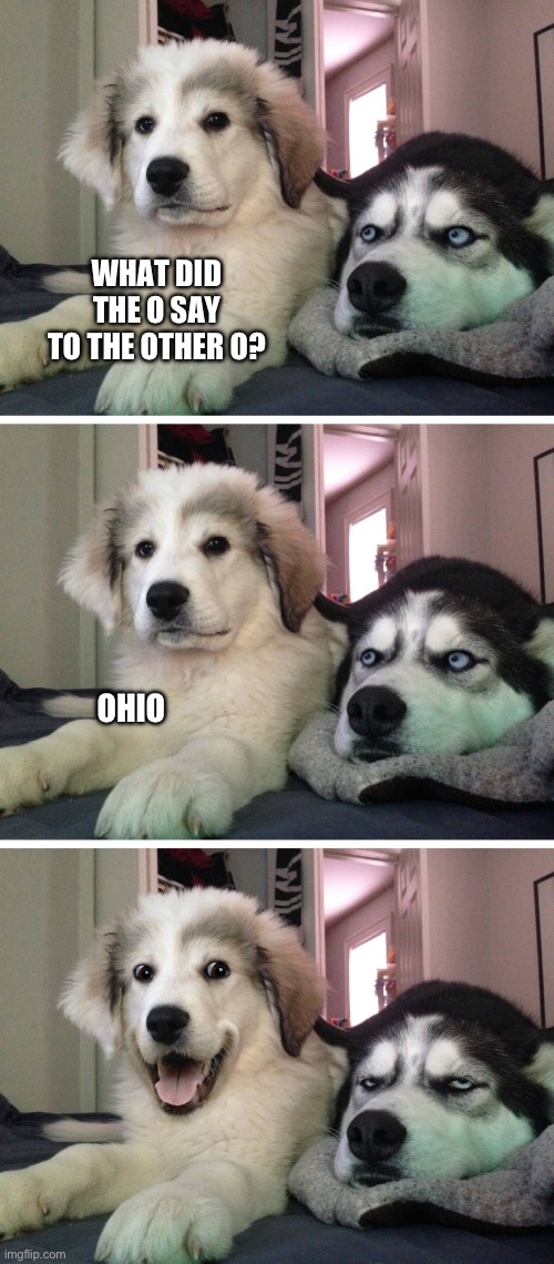Ohio | WHAT DID THE O SAY TO THE OTHER O? OHIO | image tagged in bad pun dogs,ohio | made w/ Imgflip meme maker