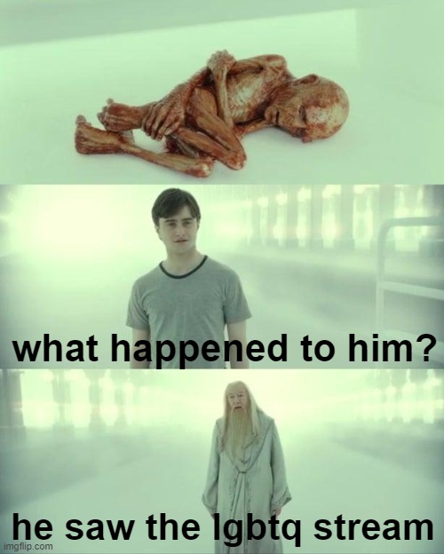 all there is there is gay sex, erp's and pride stuff all over the place i cant stand | what happened to him? he saw the lgbtq stream | image tagged in dead baby voldemort / what happened to him | made w/ Imgflip meme maker