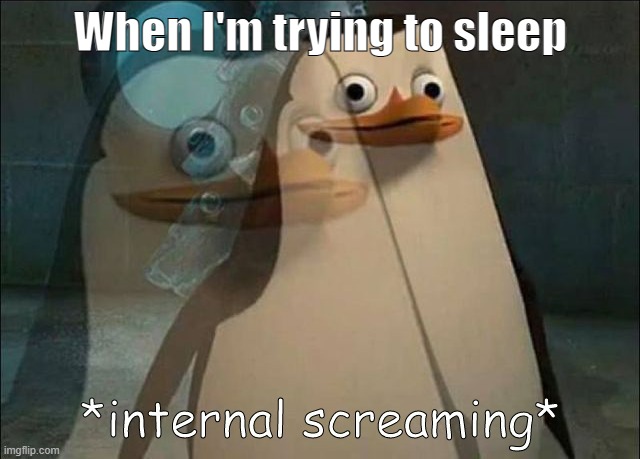 Private Internal Screaming | When I'm trying to sleep | image tagged in private internal screaming | made w/ Imgflip meme maker