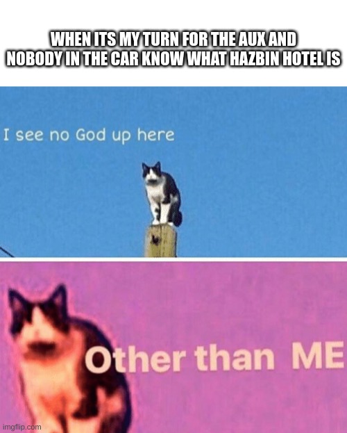 I see no god- other than me | WHEN ITS MY TURN FOR THE AUX AND NOBODY IN THE CAR KNOW WHAT HAZBIN HOTEL IS | image tagged in hail pole cat | made w/ Imgflip meme maker