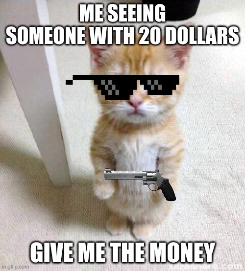 Cute Cat Meme | ME SEEING SOMEONE WITH 20 DOLLARS; GIVE ME THE MONEY | image tagged in memes,cute cat | made w/ Imgflip meme maker