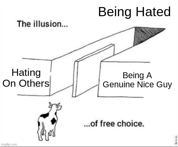 it sucks | Being Hated; Hating On Others; Being A Genuine Nice Guy | image tagged in illusion of free choice | made w/ Imgflip meme maker