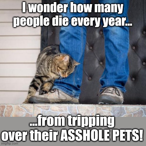 Hmmmm...I wonder ? | I wonder how many people die every year... ...from tripping over their ASSHOLE PETS! | image tagged in dumb ways to die,accidents,there are no accidents,pets,cats,murder | made w/ Imgflip meme maker