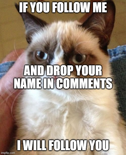 Grumpy Cat | IF YOU FOLLOW ME; AND DROP YOUR NAME IN COMMENTS; I WILL FOLLOW YOU | image tagged in memes,grumpy cat | made w/ Imgflip meme maker