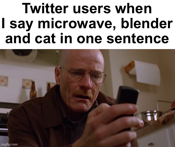 Iykyk | Twitter users when I say microwave, blender and cat in one sentence | image tagged in walter white on his phone | made w/ Imgflip meme maker