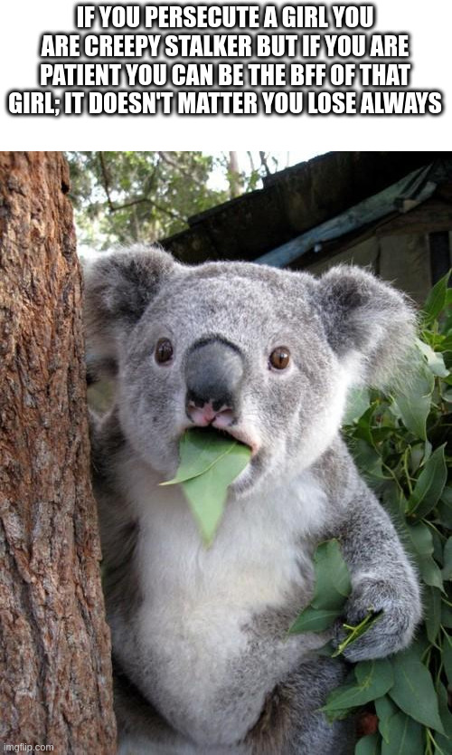 patient | IF YOU PERSECUTE A GIRL YOU ARE CREEPY STALKER BUT IF YOU ARE PATIENT YOU CAN BE THE BFF OF THAT GIRL; IT DOESN'T MATTER YOU LOSE ALWAYS | image tagged in memes,surprised koala | made w/ Imgflip meme maker