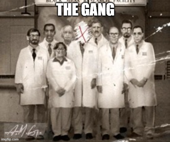 THE GANG | image tagged in anomalous materials team | made w/ Imgflip meme maker