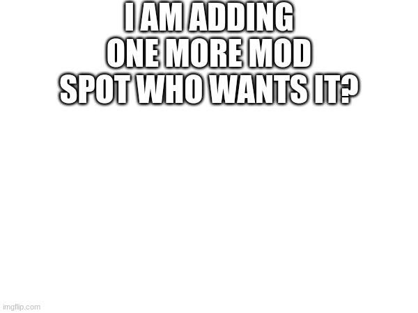 who does? | I AM ADDING ONE MORE MOD SPOT WHO WANTS IT? | image tagged in memes | made w/ Imgflip meme maker