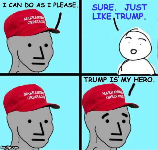 MAGA NPC (AN AN0NYM0US TEMPLATE) | I CAN DO AS I PLEASE. SURE.  JUST LIKE TRUMP. TRUMP IS MY HERO. | image tagged in maga npc an an0nym0us template | made w/ Imgflip meme maker