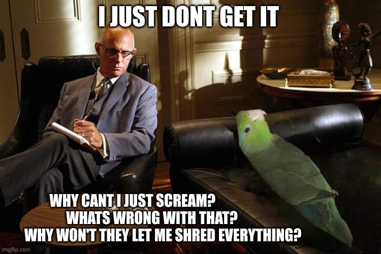 Parrot in Psychotherapy | I JUST DONT GET IT; WHY CANT I JUST SCREAM?                                          
          WHATS WRONG WITH THAT?                                      
     WHY WON'T THEY LET ME SHRED EVERYTHING? | image tagged in parrot in psychotherapy | made w/ Imgflip meme maker