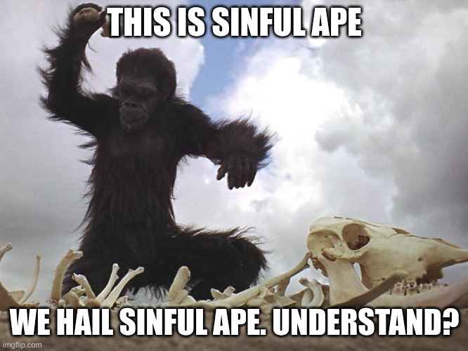 sinful ape | THIS IS SINFUL APE; WE HAIL SINFUL APE. UNDERSTAND? | image tagged in sinful ape | made w/ Imgflip meme maker