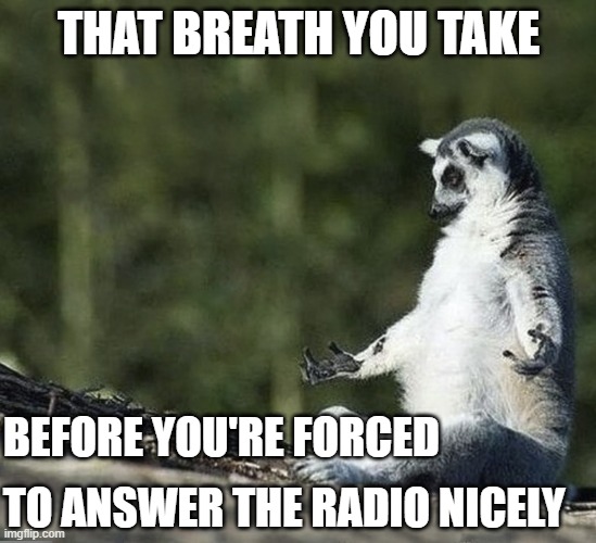Inner Peace | THAT BREATH YOU TAKE; BEFORE YOU'RE FORCED; TO ANSWER THE RADIO NICELY | image tagged in inner peace | made w/ Imgflip meme maker