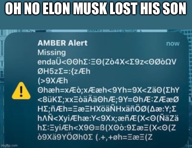 Why would he name is son that | OH NO ELON MUSK LOST HIS SON | image tagged in memes,funny,funny memes | made w/ Imgflip meme maker