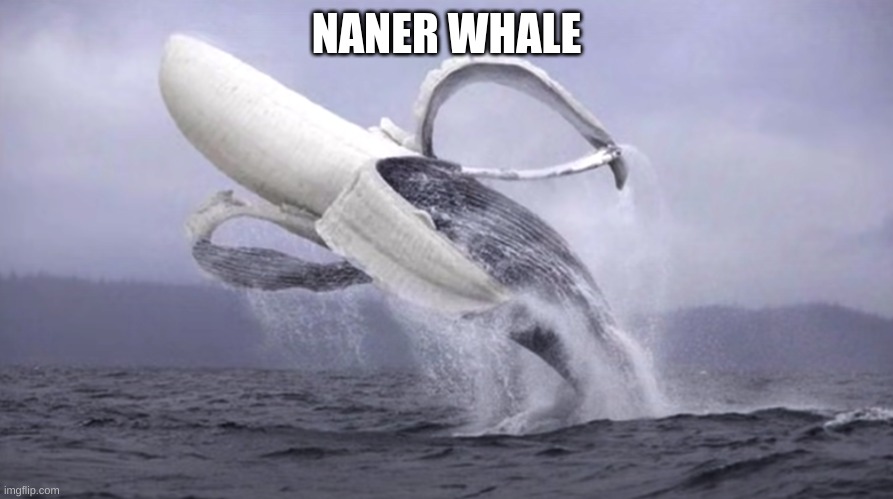 banana whale | NANER WHALE | image tagged in banana whale,funny memes | made w/ Imgflip meme maker