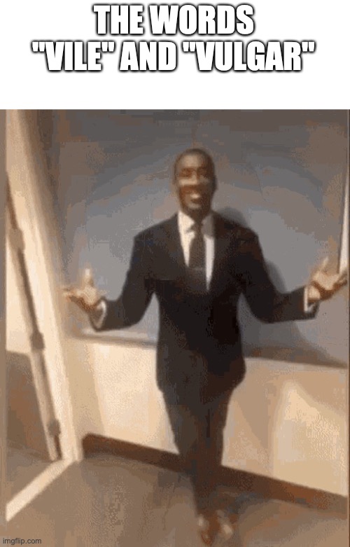 smiling black guy in suit | THE WORDS "VILE" AND "VULGAR" | image tagged in smiling black guy in suit | made w/ Imgflip meme maker