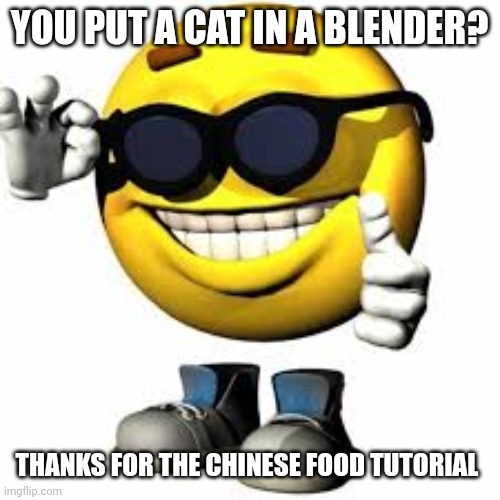 Emoji With Shoes And Hands Shaking His Glasses | YOU PUT A CAT IN A BLENDER? THANKS FOR THE CHINESE FOOD TUTORIAL | image tagged in emoji with shoes and hands shaking his glasses | made w/ Imgflip meme maker